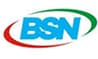 BSN (Badan Standardisasi Nasional)